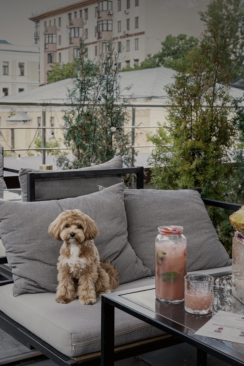 Manhattan Lounge